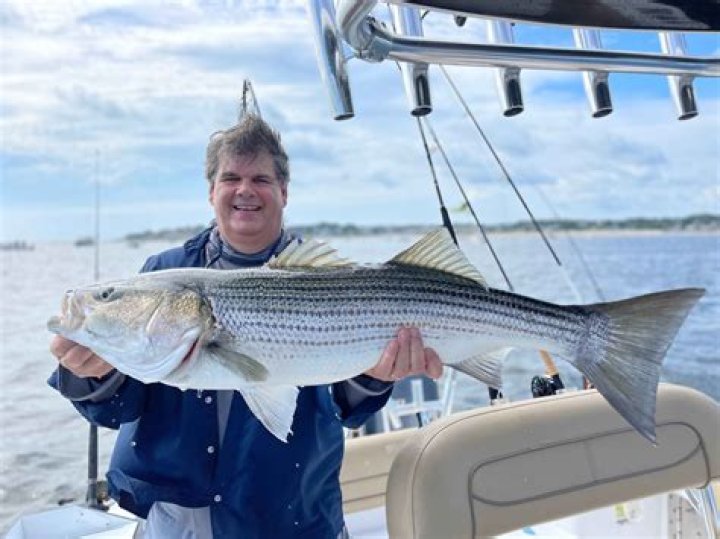 What is the best rig for striped bass?