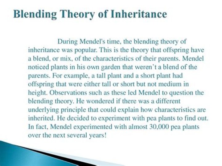 What is the blending theory of inheritance quizlet?