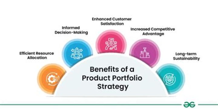 What is the business portfolio of a corporation?