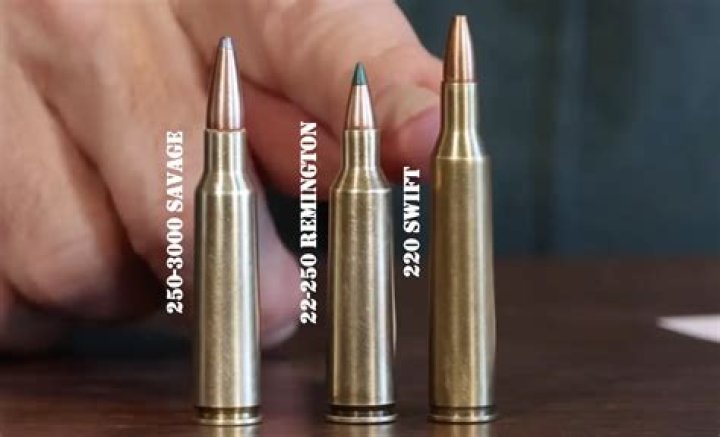 What is the difference between a 223 and 308 caliber?