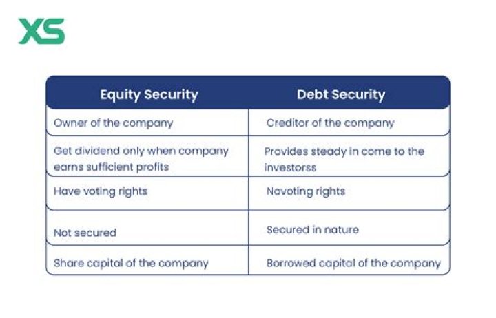 What is the difference between debt security and equity security?