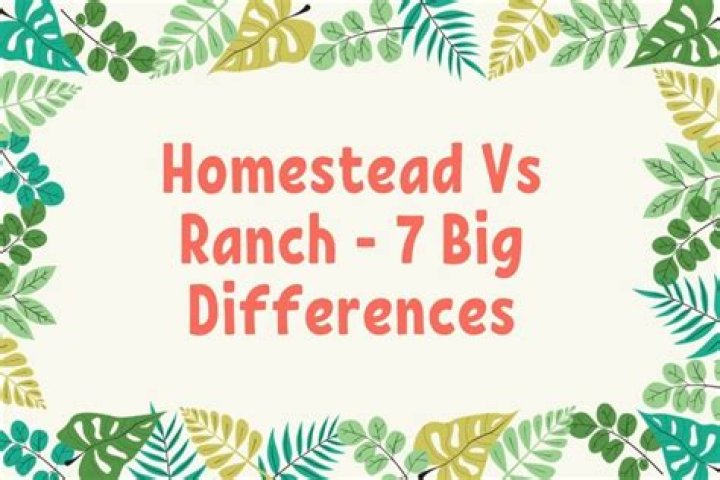 What is the difference between Homestead and primary residence?