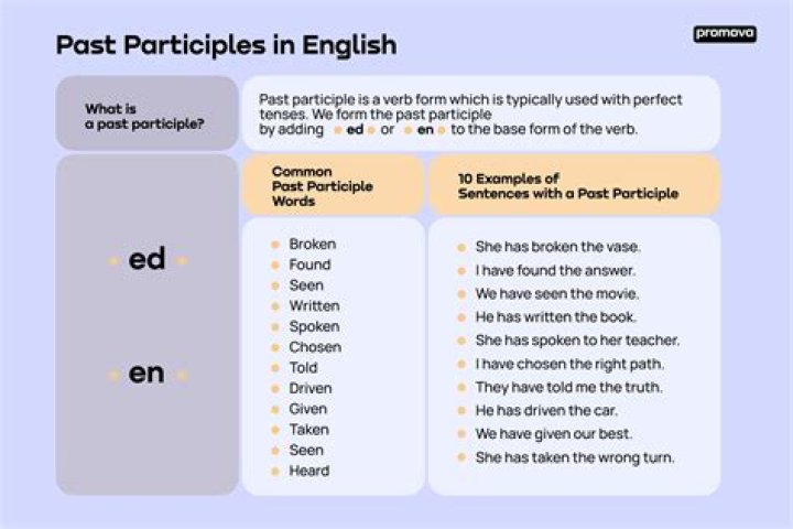 What is the difference between past verb forms and past participle verb forms?