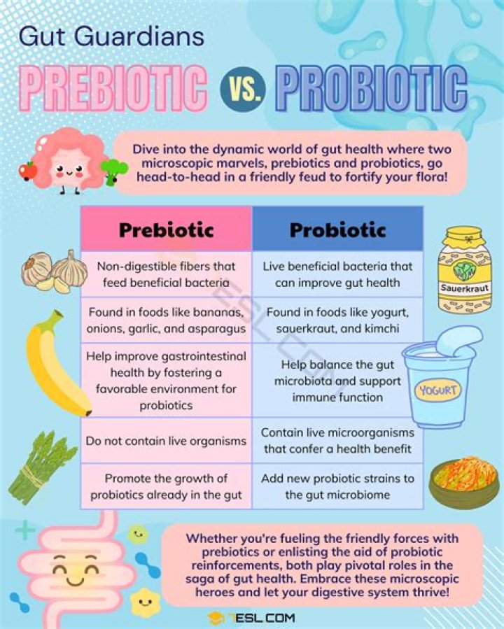 What is the difference between probiotic curd and normal curd?