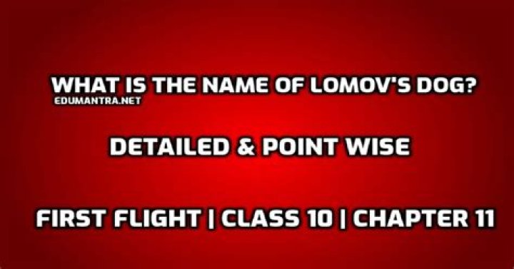 What is the full name of lomov?