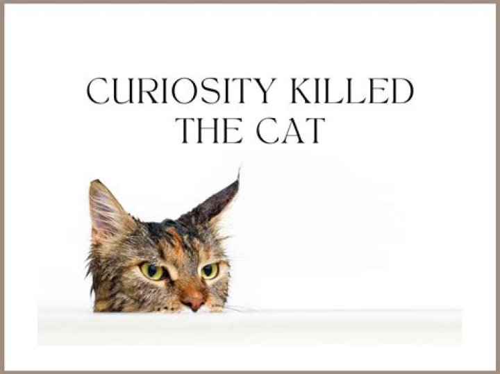 What is the full phrase of curiosity killed the cat?