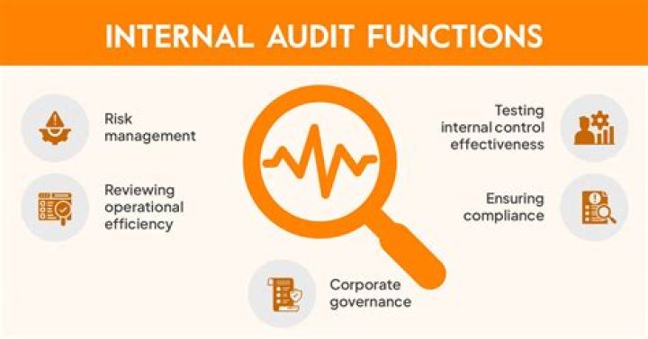 What is the impact of internal audit?