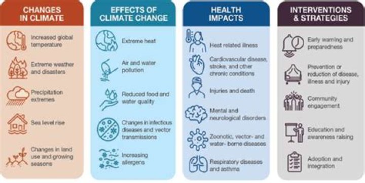 What is the impact of WASH?