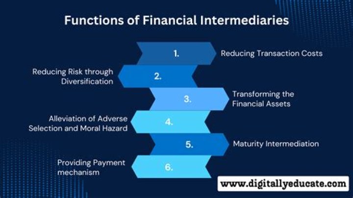 What is the importance of financial intermediaries in our financial system?