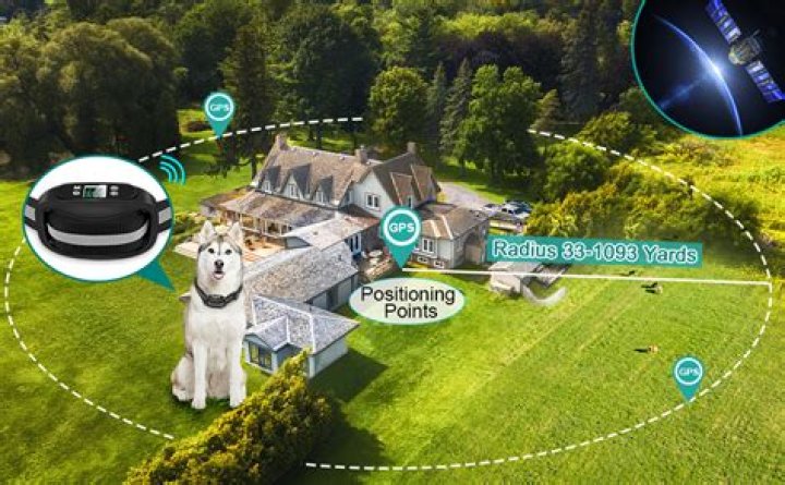 What is the largest area for wireless dog fence?