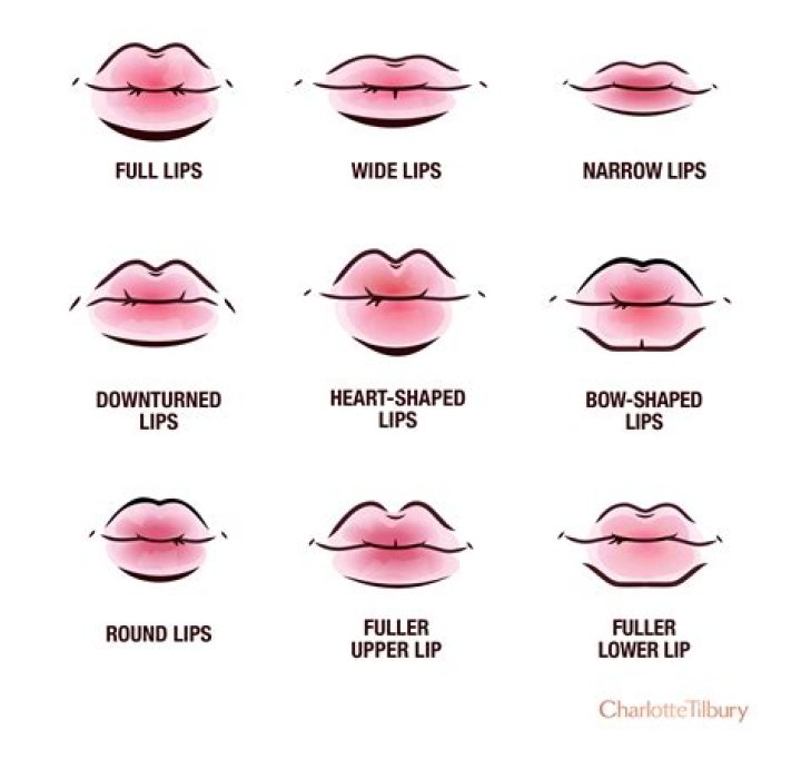 What is the line in your bottom lip called?