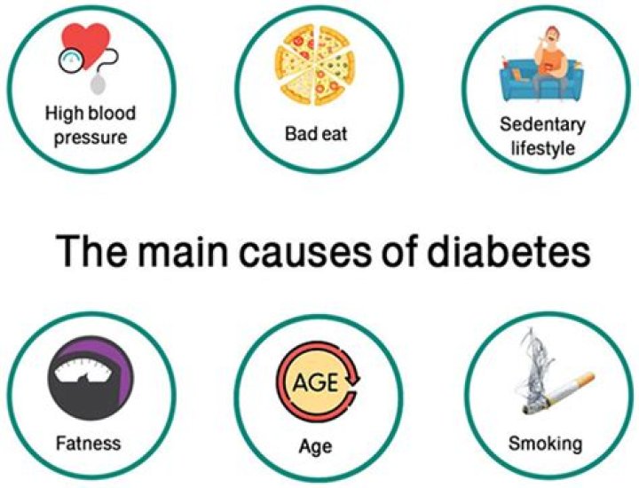 What is the main cause of scabies?