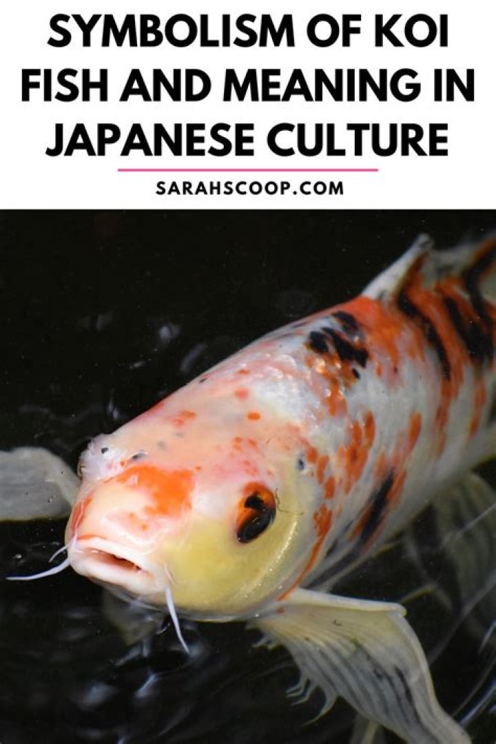 What is the meaning of Seikatsu?