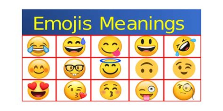 What is the meaning of ? this emoji?