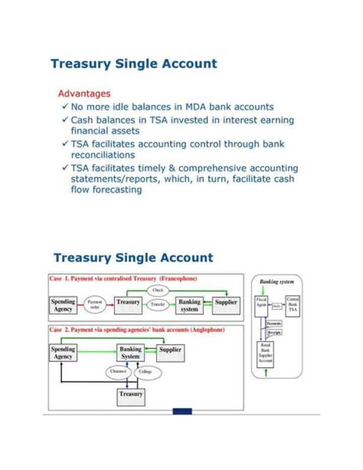 What is the meaning of Treasury account?