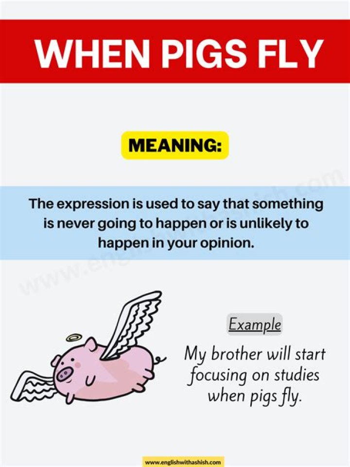 What is the meaning of when pig fly?
