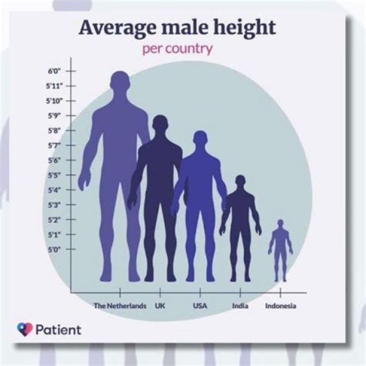 What is the most attractive height for a guy?