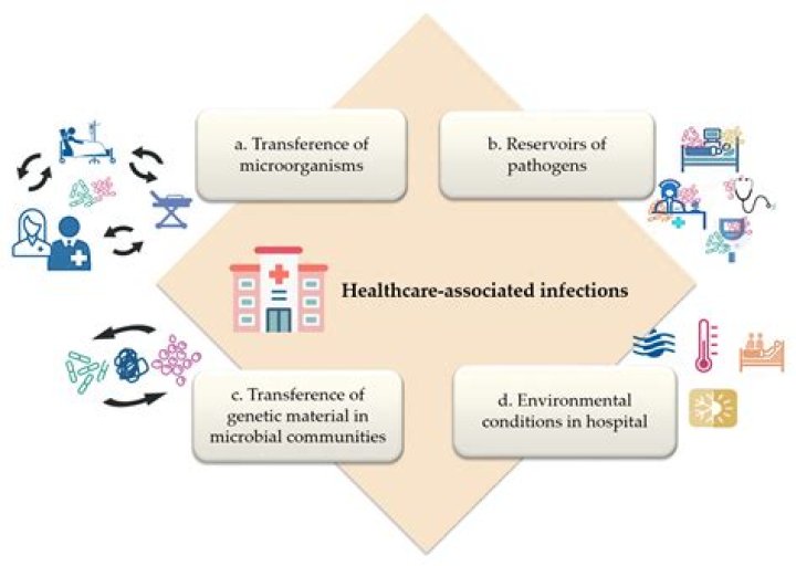 What is the most important method of preventing disease transmission in the healthcare setting?