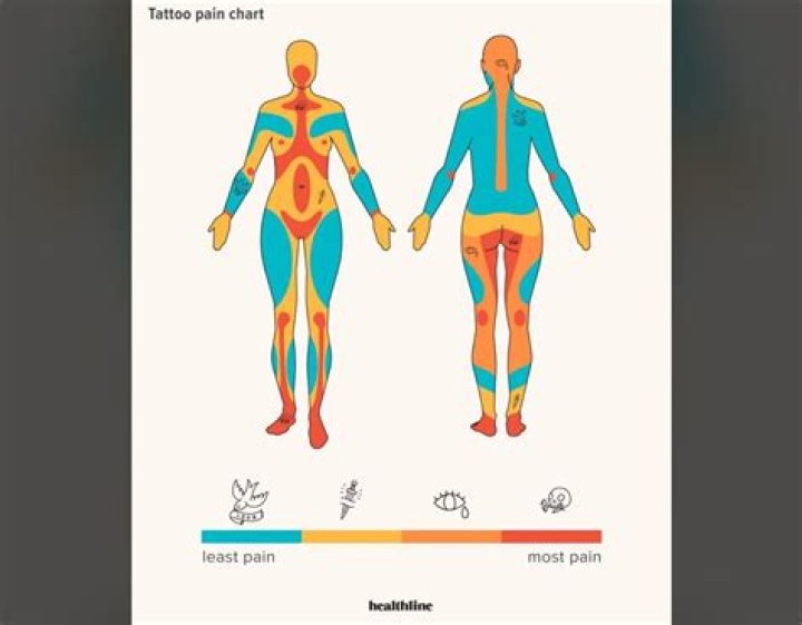 What is the most painful pressure point in the body?