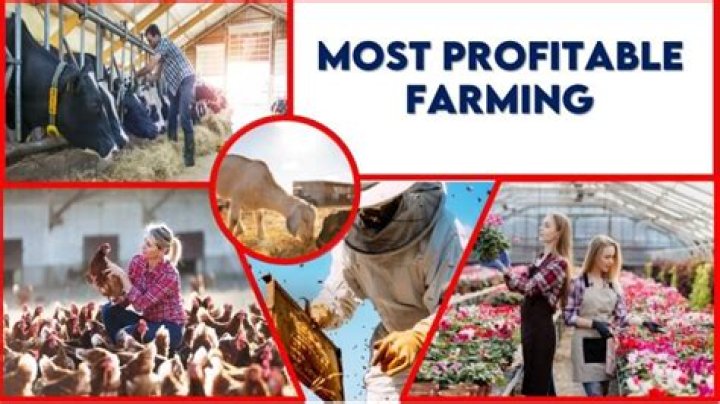What is the most profitable type of farming?
