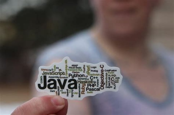 What is the No 1 programming language?