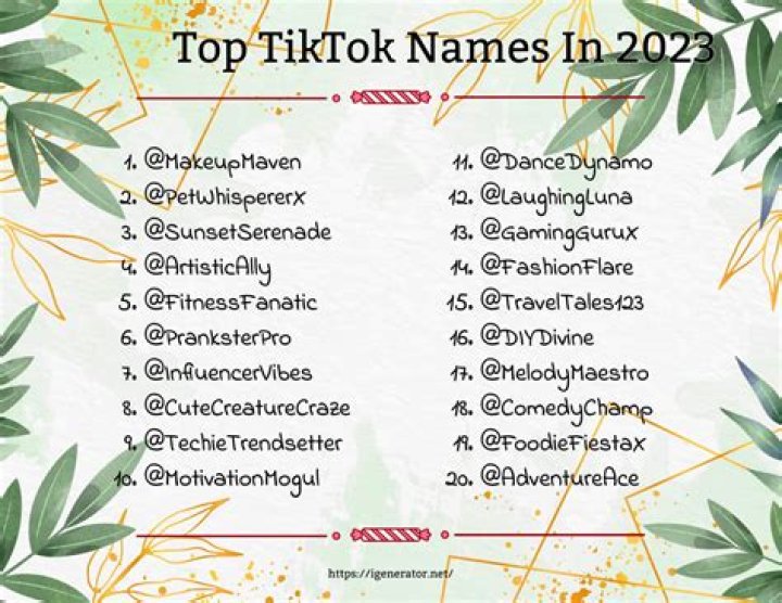 What is the old TikTok name?