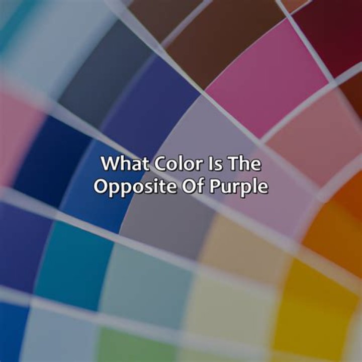 What is the opposite of INTP?