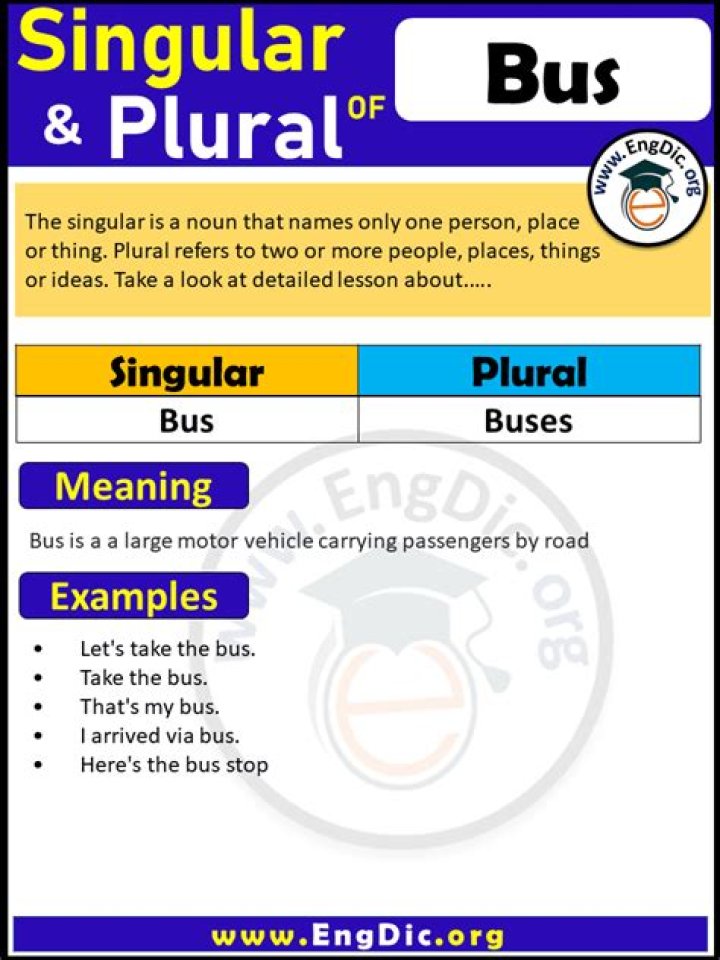 What is the plural of bus?