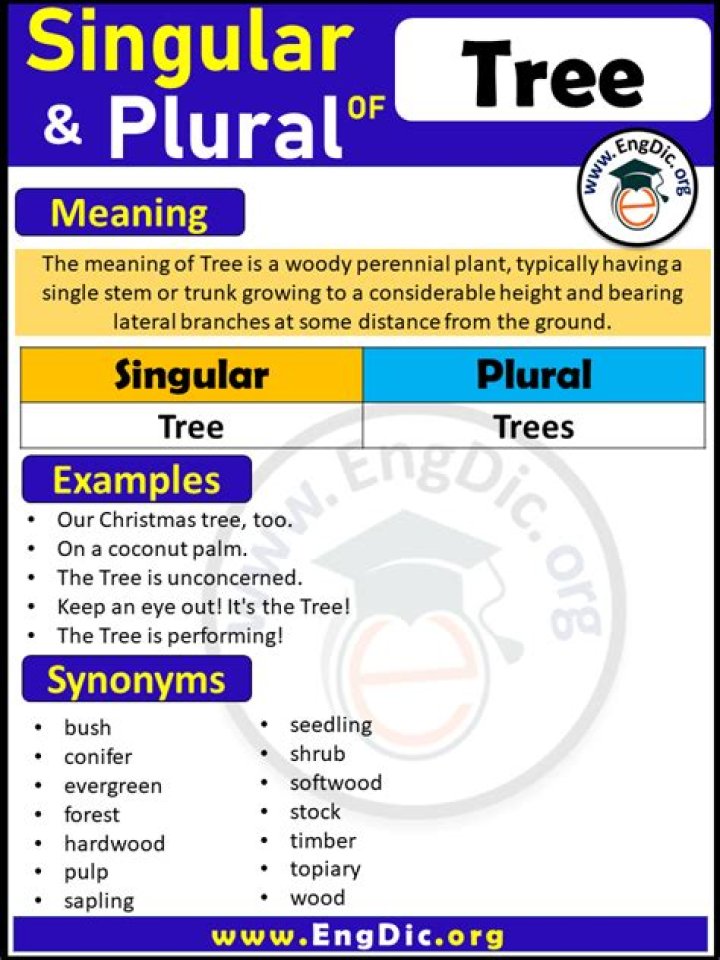 What is the plural of tree?