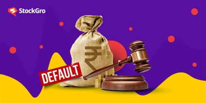 What is the punishment for loan defaulters in India?