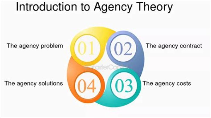 What is the purpose of agency theory?