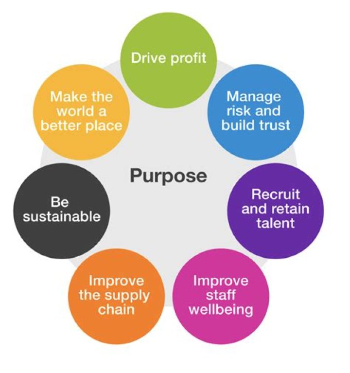 What is the purpose of business capital?