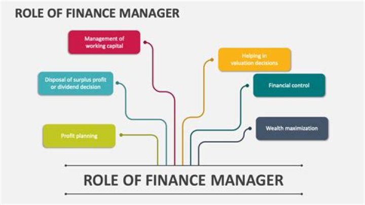 What is the role of IT in financial management?