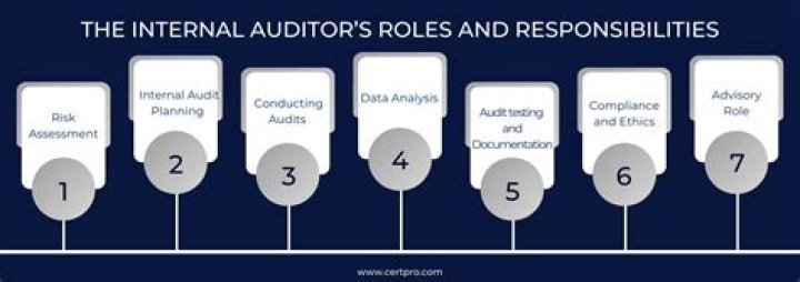 What is the role of the external auditor?