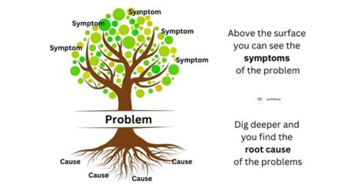 What is the root cause of dementia?