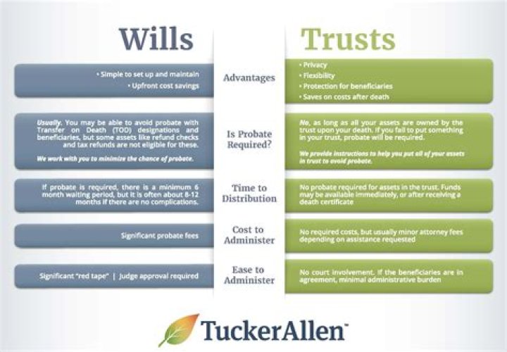 What is will and its characteristics?
