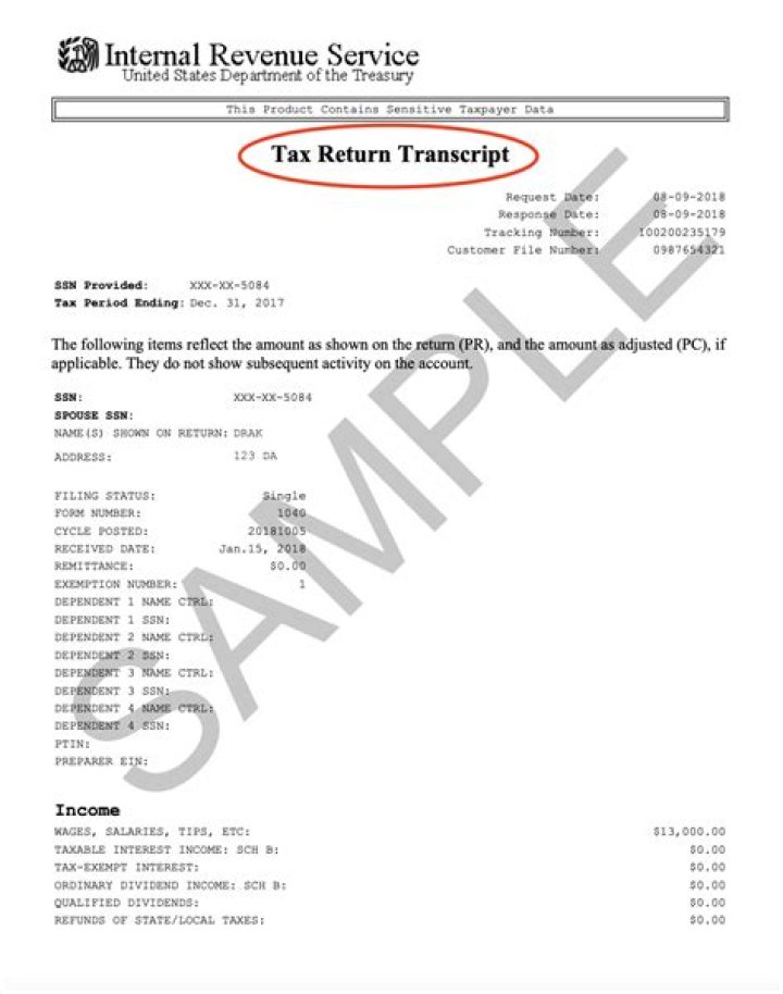 What kind of tax return should a LLC file?