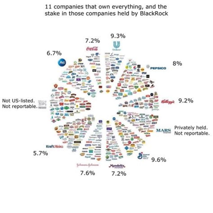 What LLC shows ownership percentage?