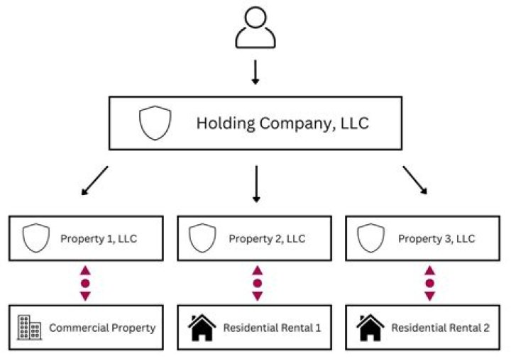 What makes an LLC a holding company?
