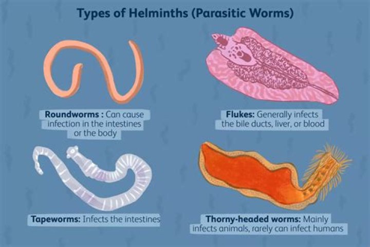 What meats have parasites?