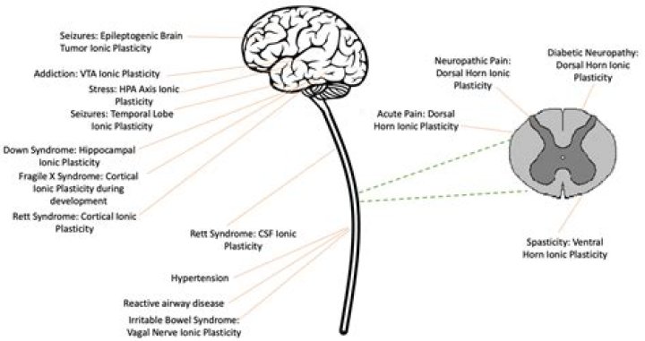 What method almost always produces the most depreciation?