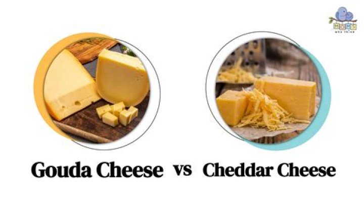 What other cheese does gouda taste like?