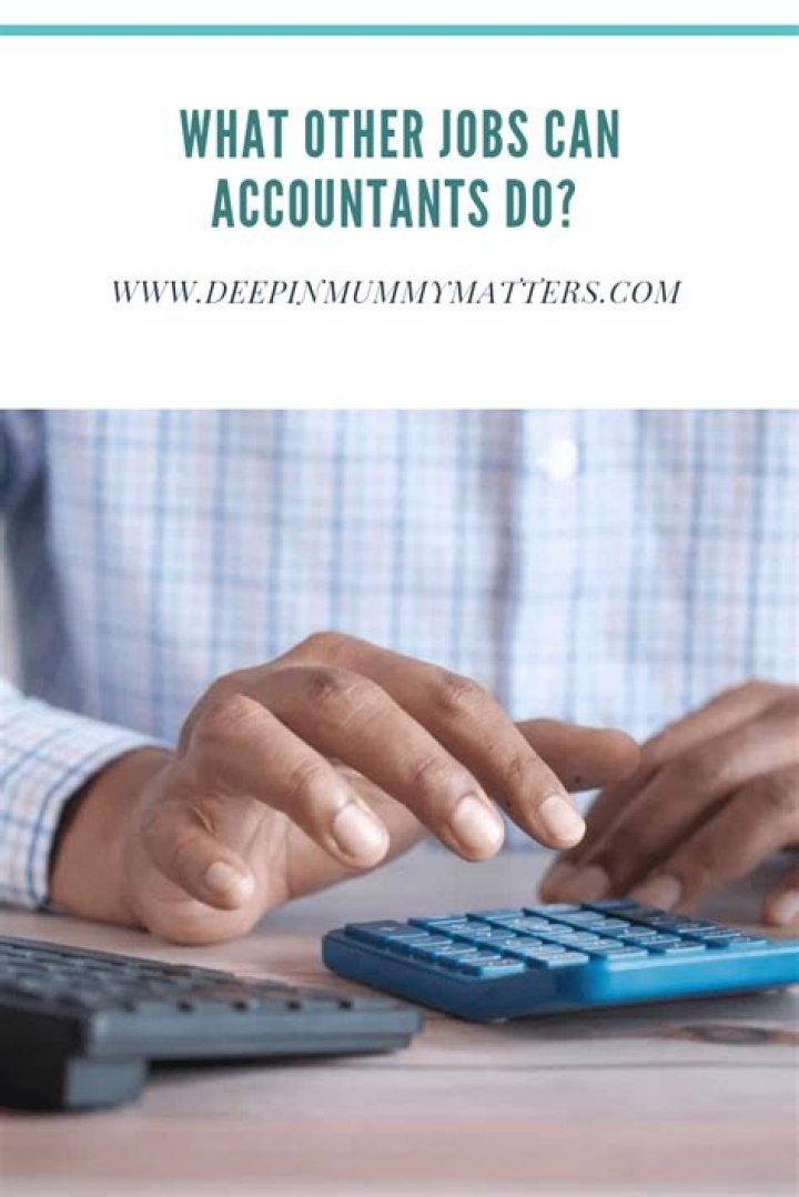 What other jobs can accountants do?