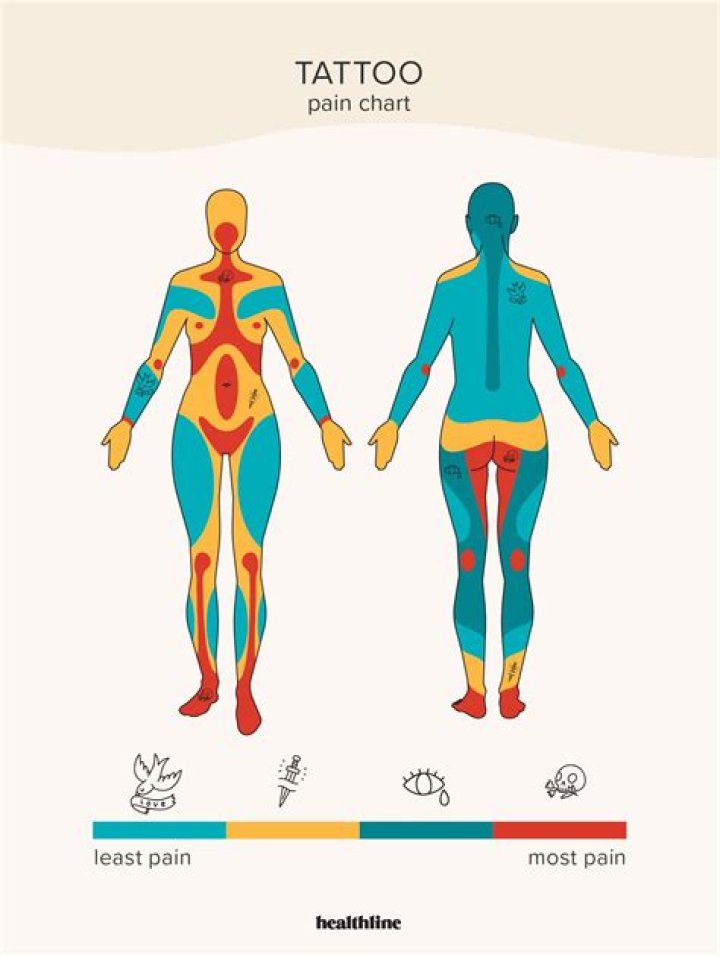 What part of the body do tattoos fade the least?