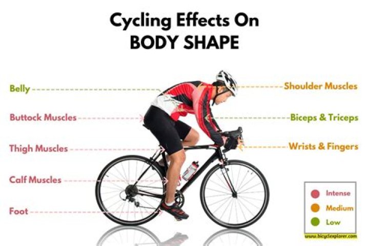 What part of the body does bike riding tone?