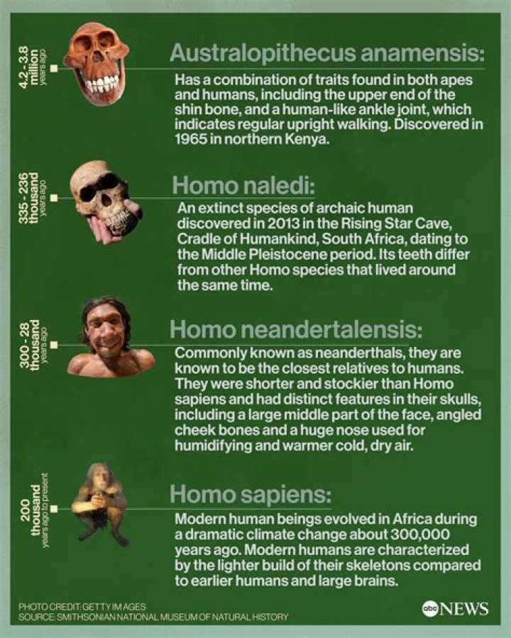 What plant DNA is closest to humans?
