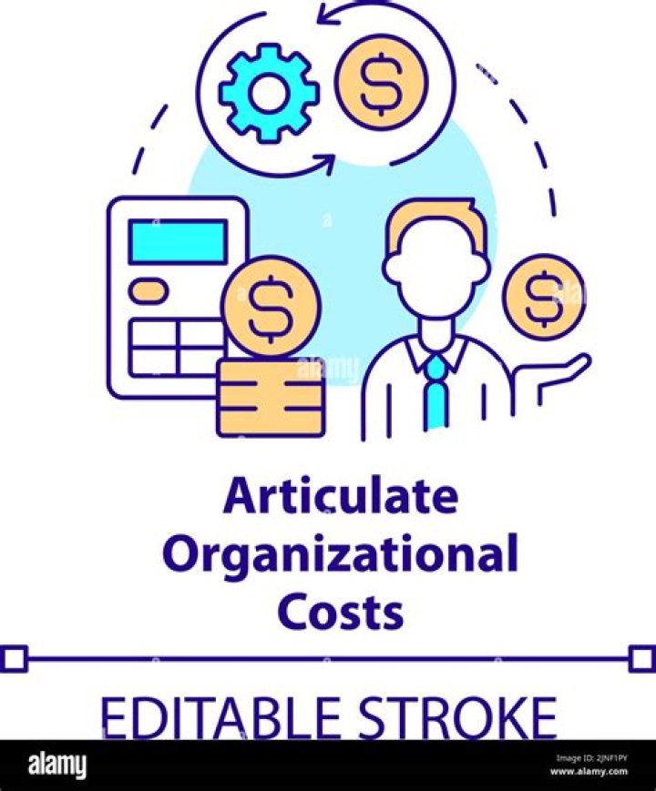 What qualifies as organizational costs?