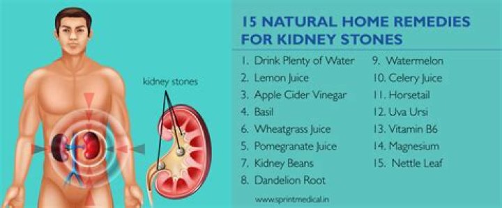 What removes kidney stones naturally?