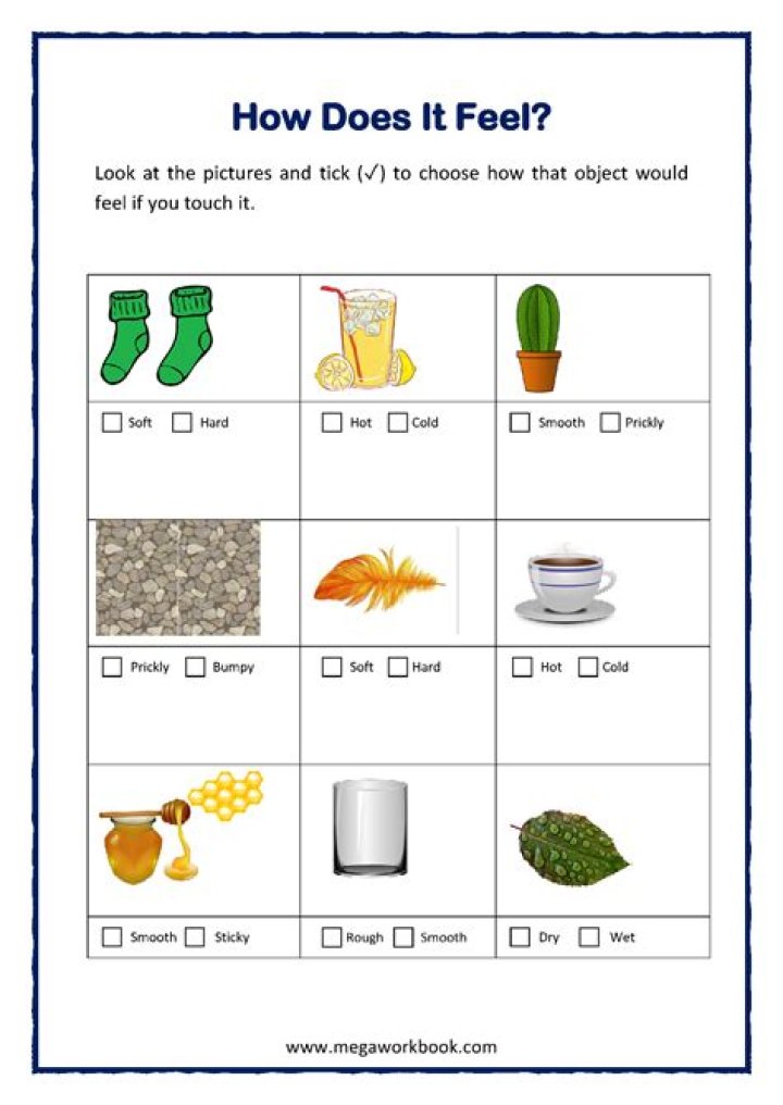 What sense goes first dying?