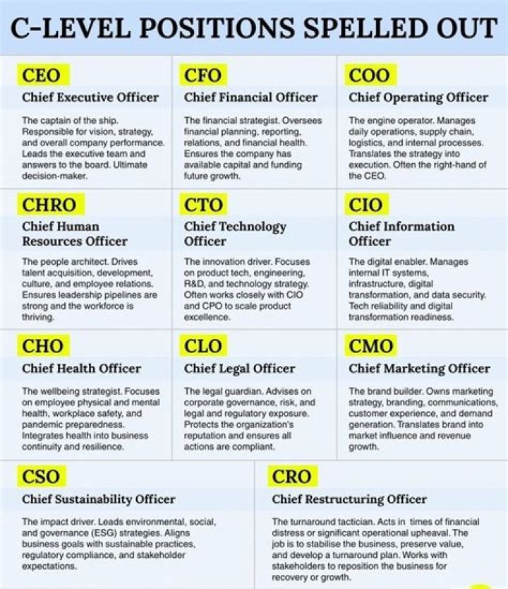 What should a CFO report to CEO?